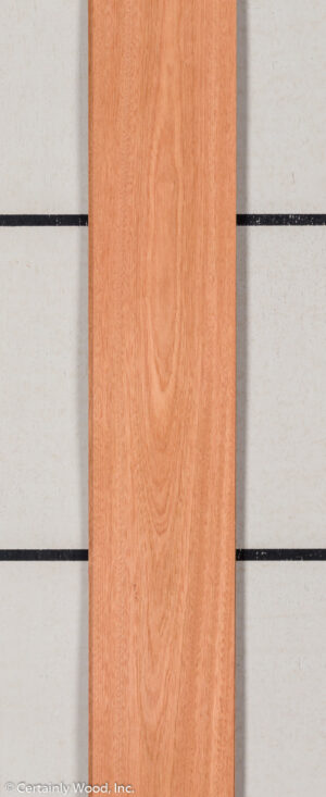 WS SAPELE 21351-2B