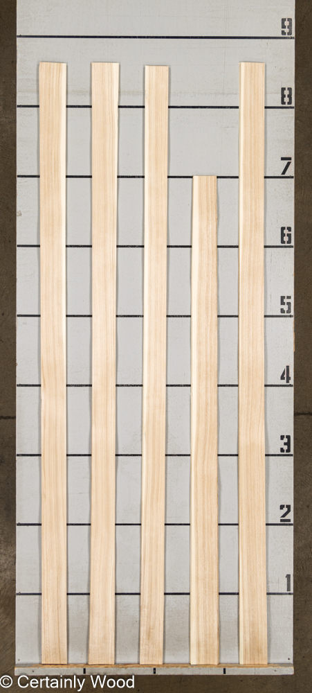 WS SEN 24086-8 - Image 2