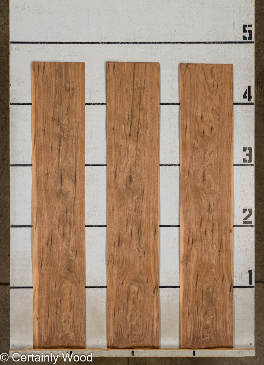 WS_WALNUT_26030-2B_2.jpg WS_WALNUT_26030-2B_2.jpg