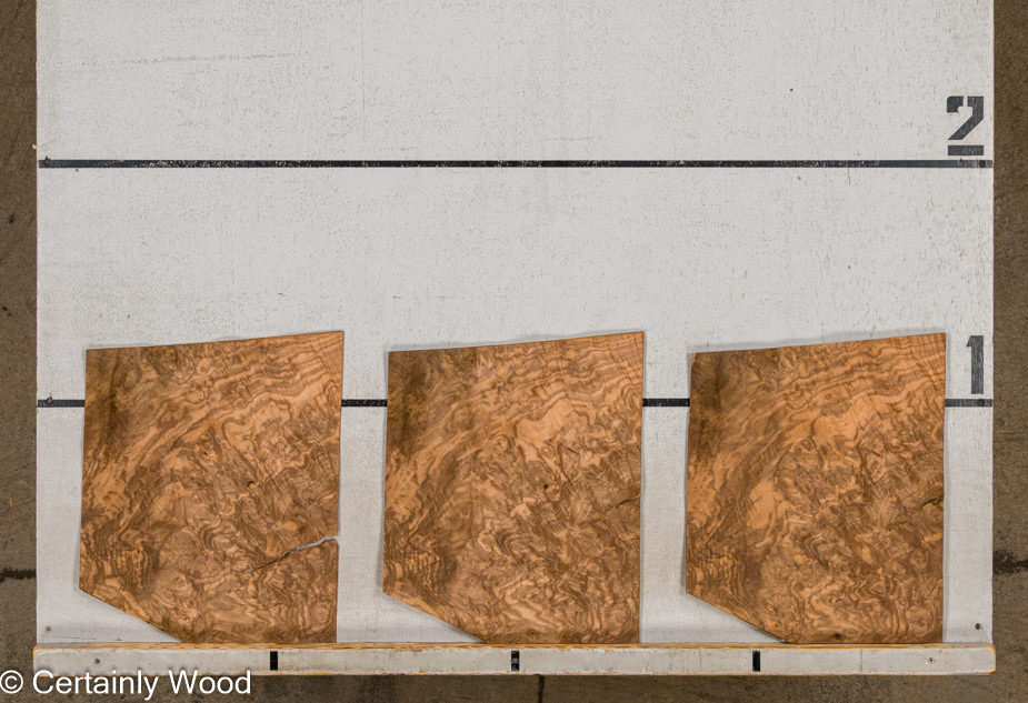 WS WAL BURL 1613-3C - Image 2