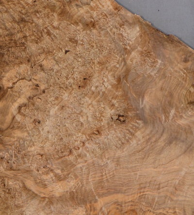 Featured Product Image