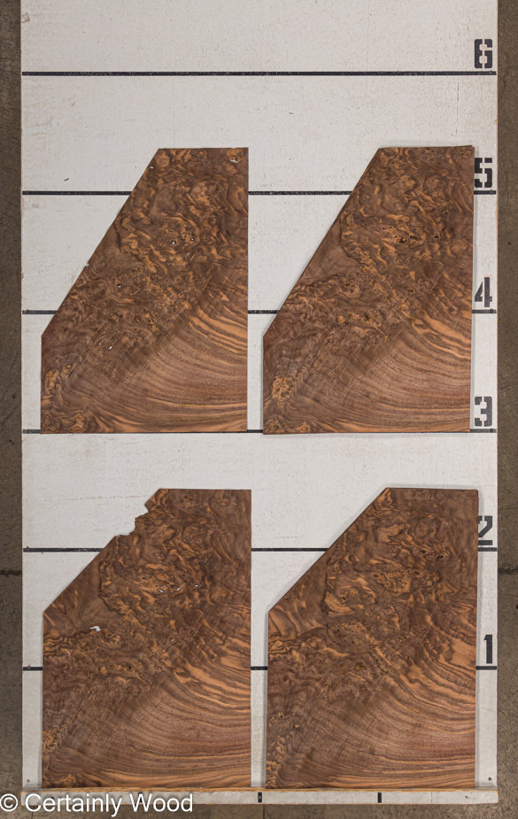 WS_WAL_BURL_23516-14A_2.jpg WS_WAL_BURL_23516-14A_2.jpg