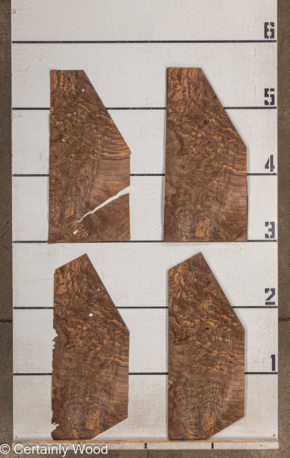 WS_WAL_BURL_23516-14B_2.jpg WS_WAL_BURL_23516-14B_2.jpg