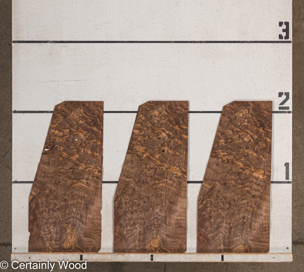 WS_WAL_BURL_23516-14C_2.jpg WS_WAL_BURL_23516-14C_2.jpg