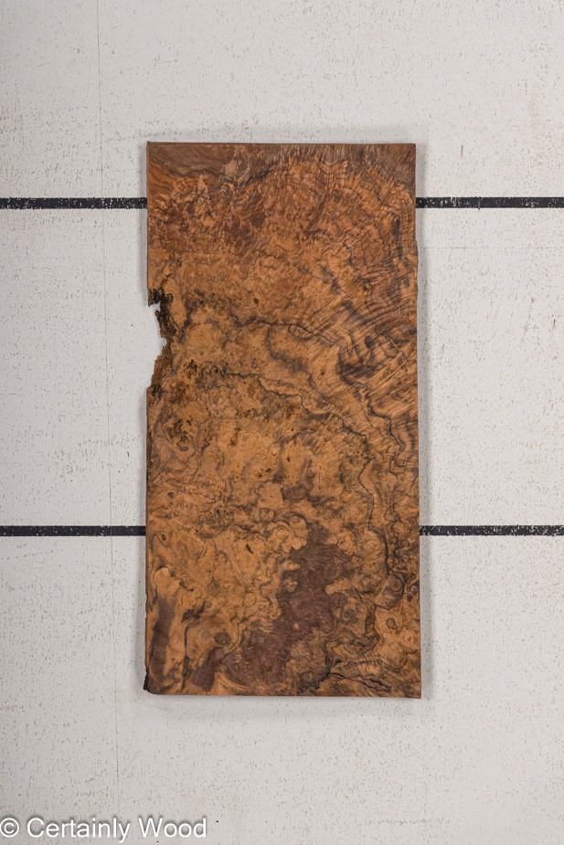 WS_WAL_BURL_23516-16_1.jpg