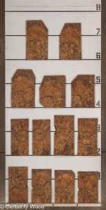 WS_WAL_BURL_23516-16_2.jpg