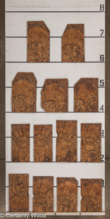 WS_WAL_BURL_23516-16_2.jpg WS_WAL_BURL_23516-16_2.jpg