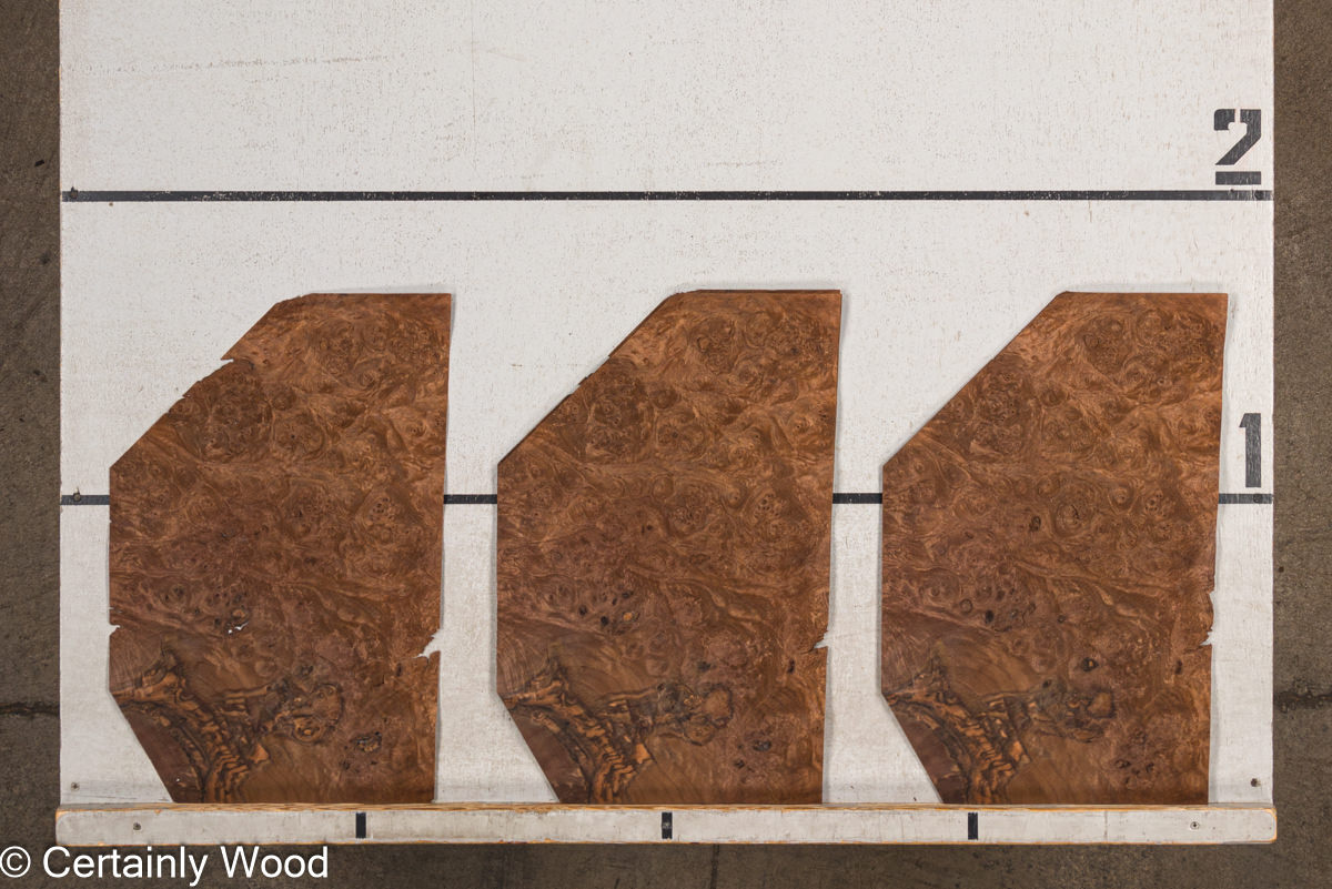 WS WAL BURL 23516-18 - Image 2