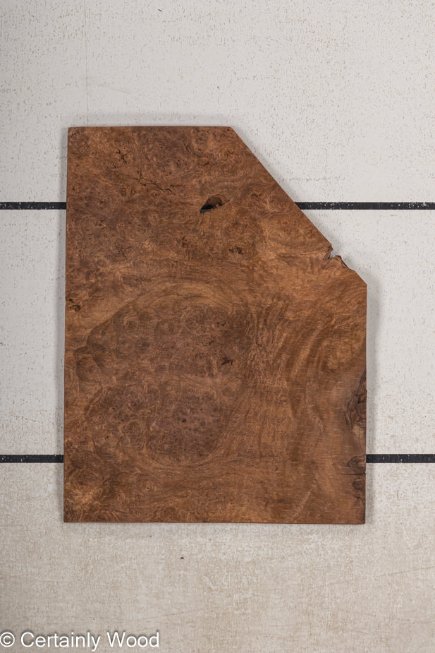 WS_WAL_BURL_23516-19_1.jpg