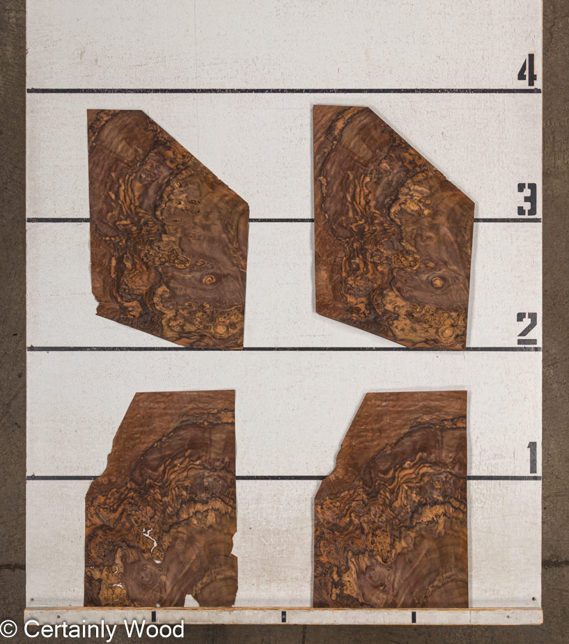 WS_WAL_BURL_23516-20B_2.jpg WS_WAL_BURL_23516-20B_2.jpg