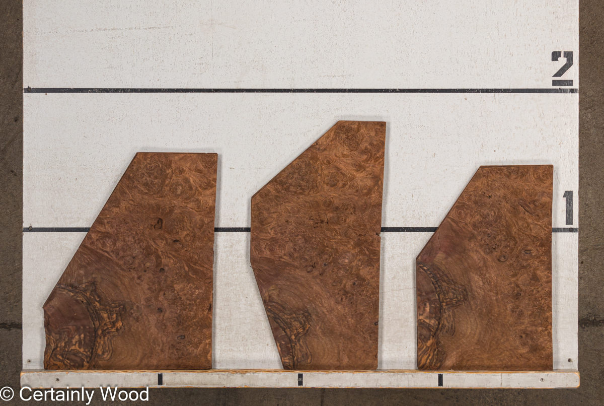 WS_WAL_BURL_23516-21B_2.jpg WS_WAL_BURL_23516-21B_2.jpg