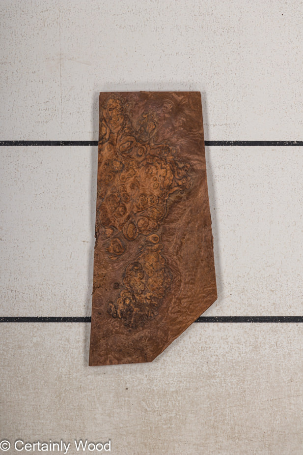 WS_WAL_BURL_23516-22_1.jpg