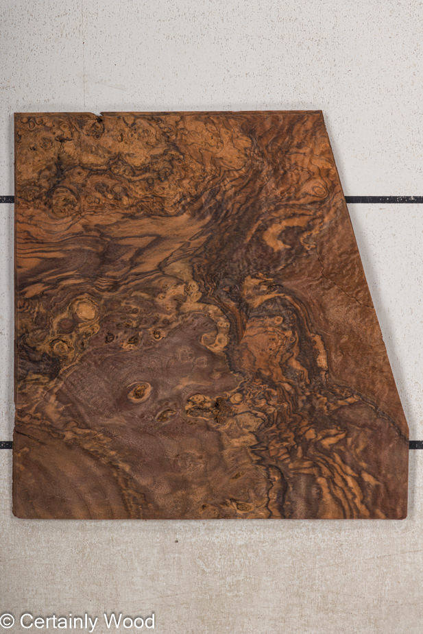 WS_WAL_BURL_23516-24A_1.jpg