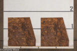 WS_WAL_BURL_23516-24A_2.jpg