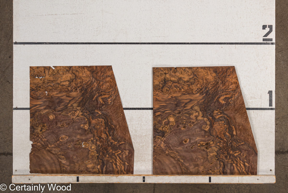 WS_WAL_BURL_23516-24A_2.jpg WS_WAL_BURL_23516-24A_2.jpg