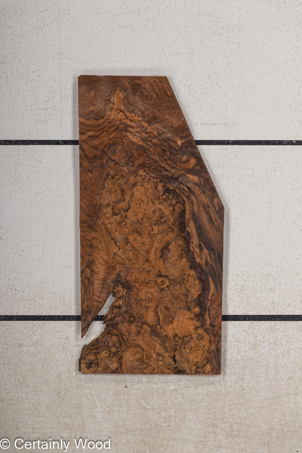 WS_WAL_BURL_23516-26_1.jpg WS_WAL_BURL_23516-26_1.jpg