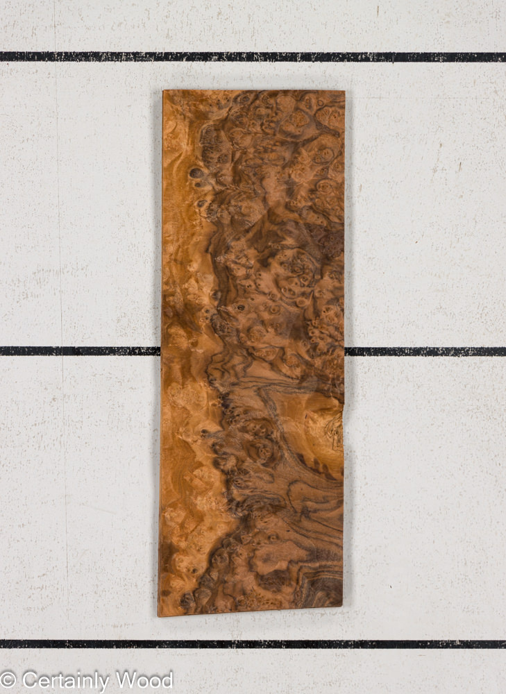 Featured Product Image