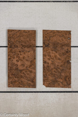 WS WAL BURL 25005-06B