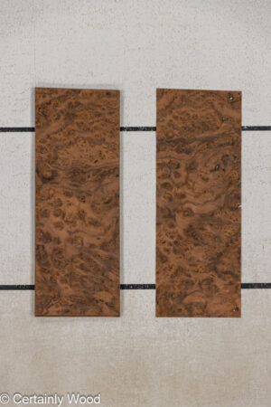 WS WAL BURL 25005-06C