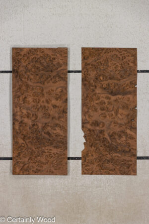 WS WAL BURL 25005-10B