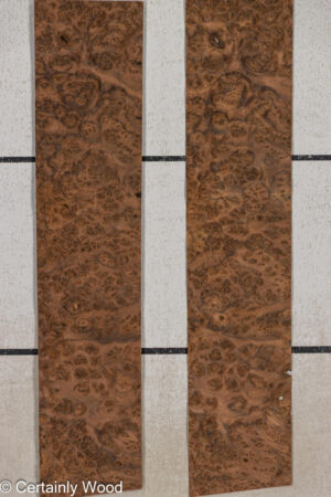 WS WAL BURL 25005-12A