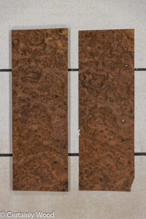 WS WAL BURL 25005-12B