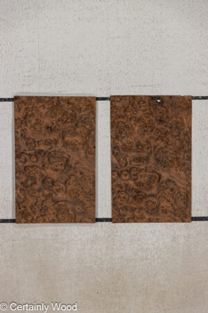 WS WAL BURL 25005-12C