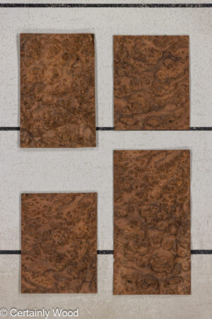 WS WAL BURL 25005-16