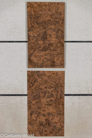 WS WAL BURL 25005-04D