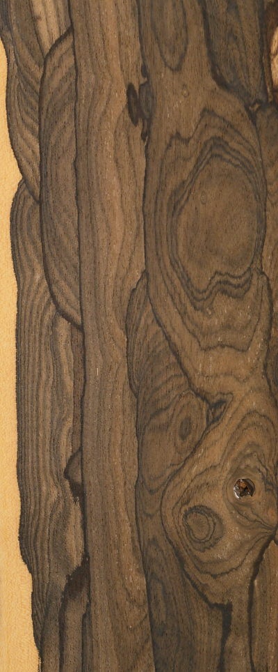 ZIRICOTE_1504-2_1.jpg