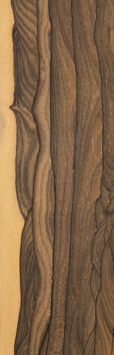 ZIRICOTE_1504-3_1-1.jpg