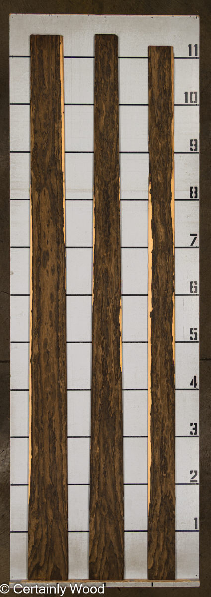 ZIRICOTE 25098-1 - Image 2