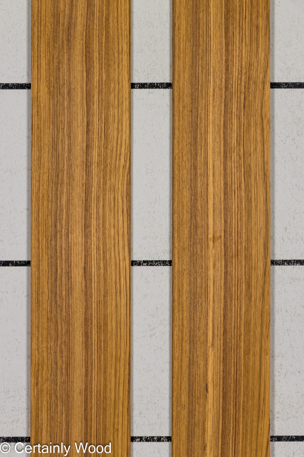 Featured Product Image