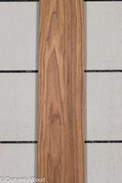 16_WALNUT_26140-1C_1