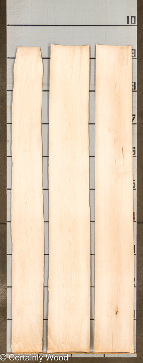 24_MAPLE_26053_2 24_MAPLE_26053_2