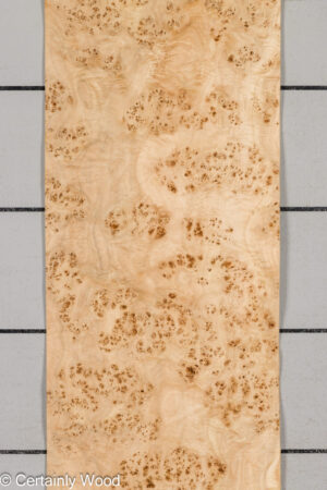 MAPPA BURL 26102-1A