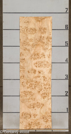 MAPPA_BURL_26102-1A_2