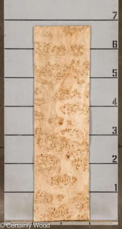 MAPPA_BURL_26102-1A_3