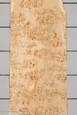 MAPPA_BURL_26102-1B_1