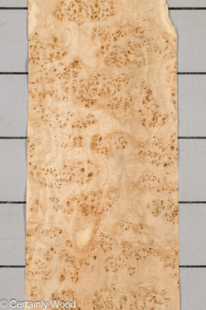 MAPPA BURL 26102-1B