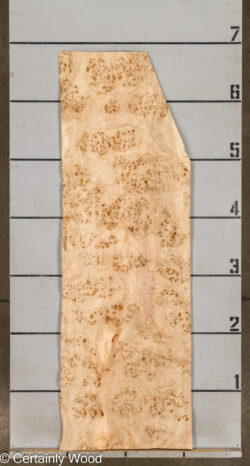 MAPPA_BURL_26102-1B_2