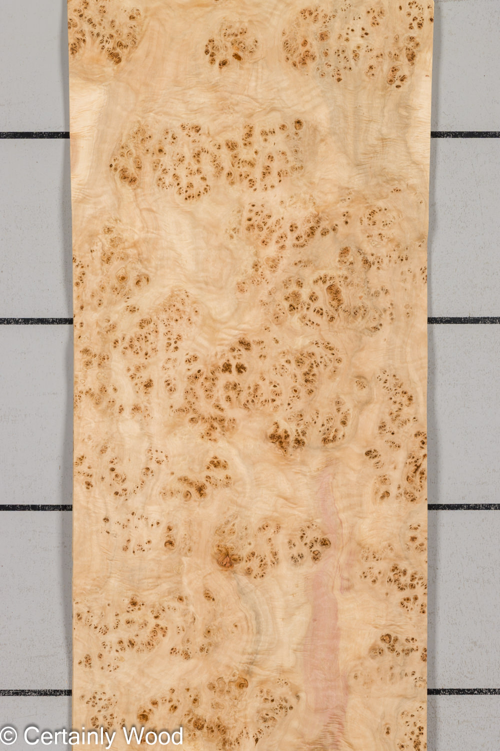 MAPPA_BURL_26102-1C_1 MAPPA_BURL_26102-1C_1