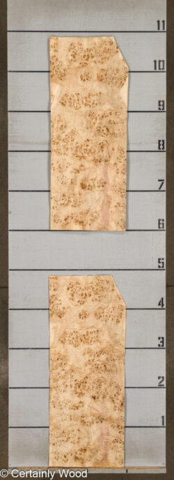 MAPPA_BURL_26102-1C_2