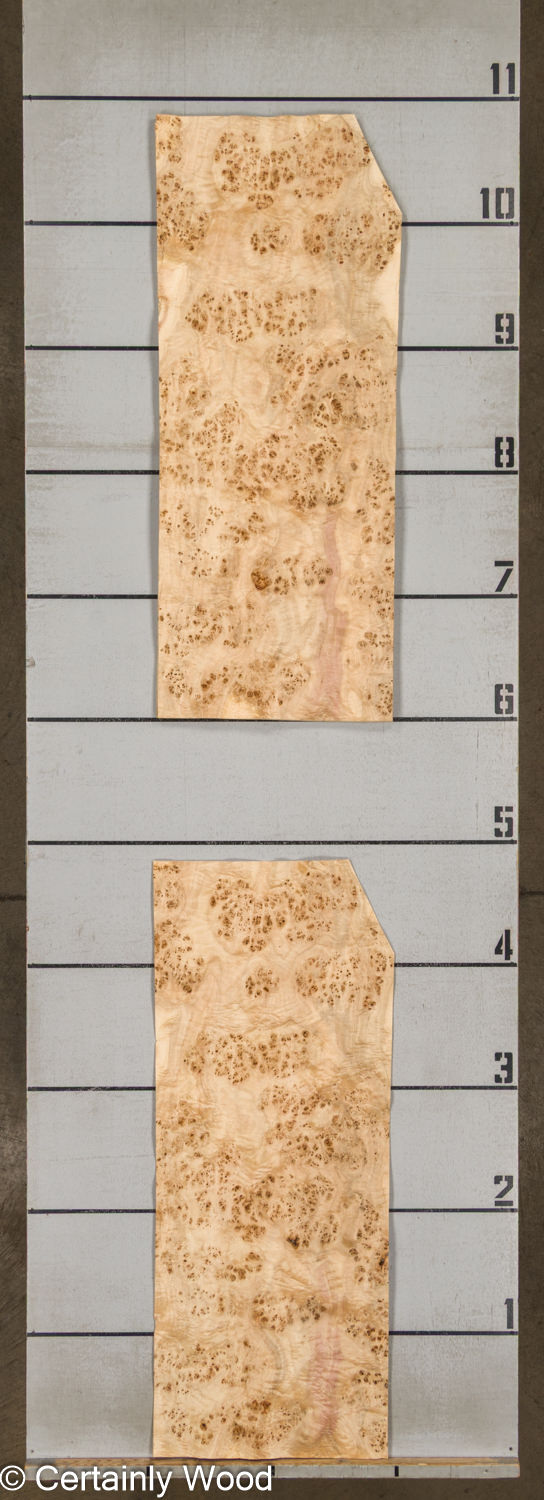 MAPPA_BURL_26102-1C_2 MAPPA_BURL_26102-1C_2