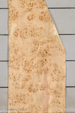 MAPPA_BURL_26102-1D_1