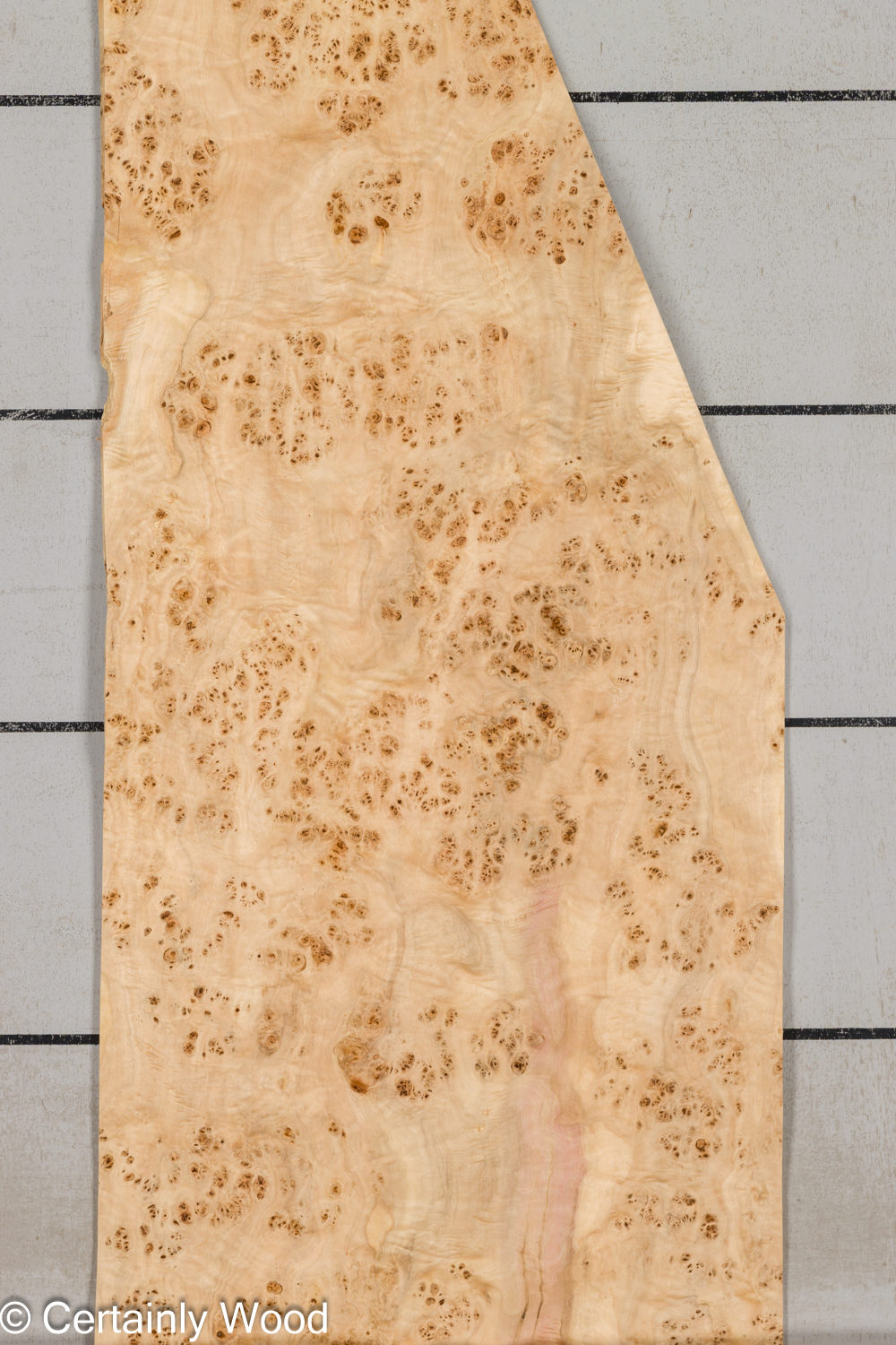 MAPPA_BURL_26102-1D_1 MAPPA_BURL_26102-1D_1