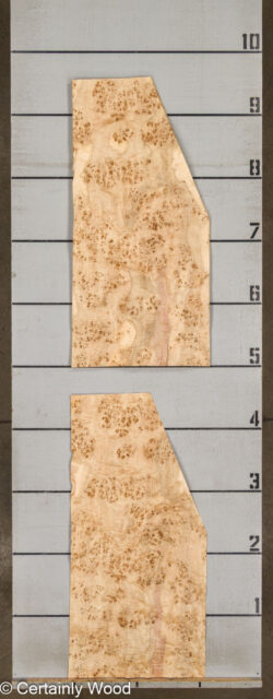 MAPPA_BURL_26102-1D_2