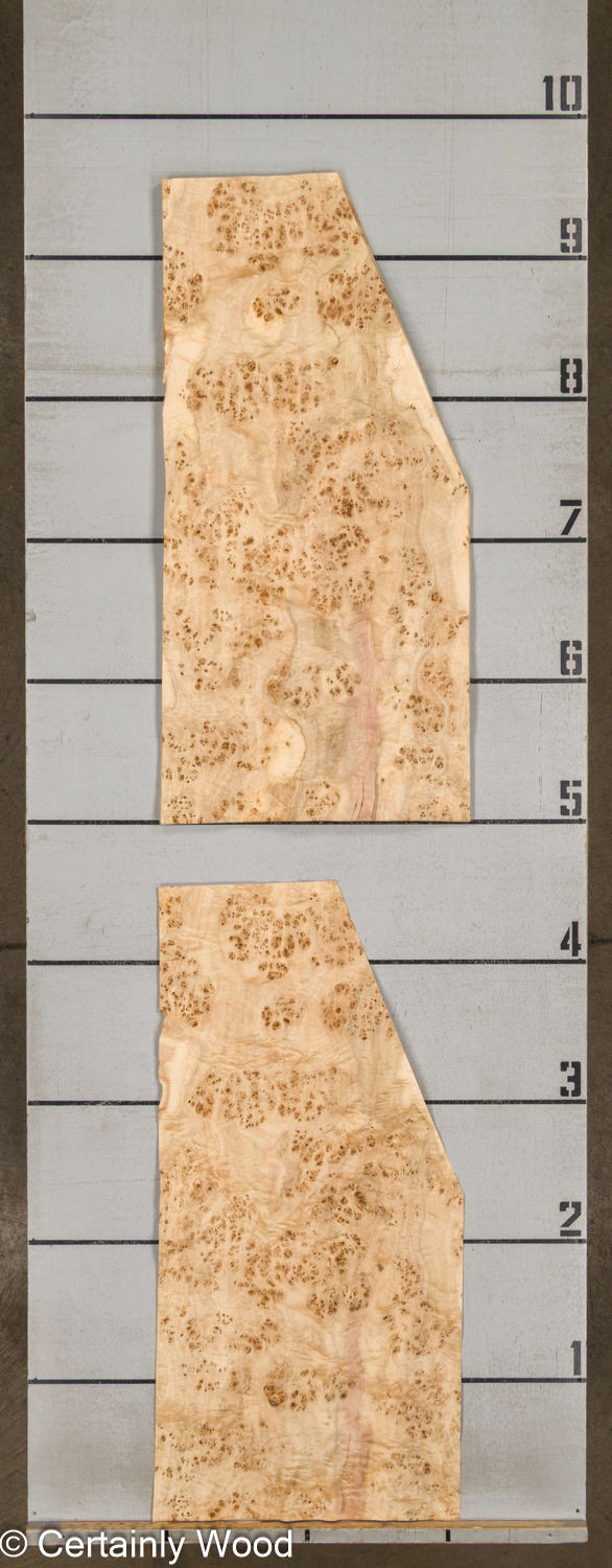 MAPPA_BURL_26102-1D_2 MAPPA_BURL_26102-1D_2