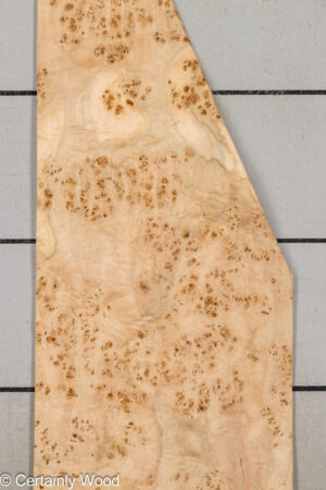 MAPPA BURL 26102-1E
