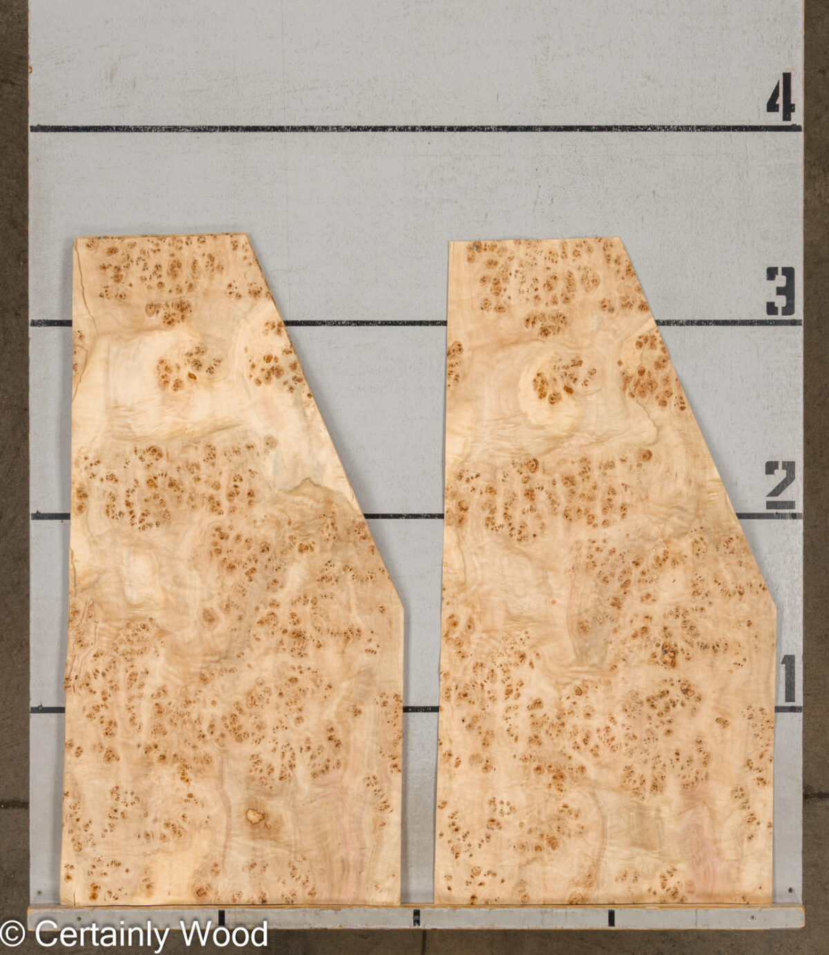 MAPPA_BURL_26102-1E_2 MAPPA_BURL_26102-1E_2